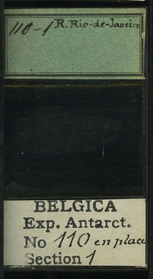 belgica antarctica expeditie 110.1b.jpg