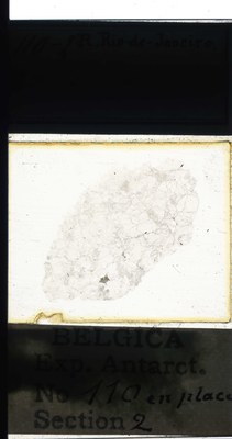 belgica antarctica expeditie 110.2a.jpg