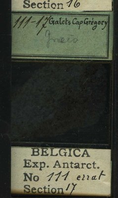 belgica antarctica expeditie 111.17b.jpg