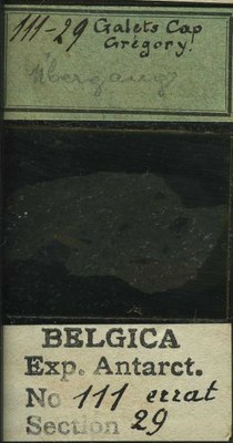 belgica antarctica expeditie 111.29b.jpg