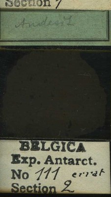 belgica antarctica expeditie 111.2b.jpg