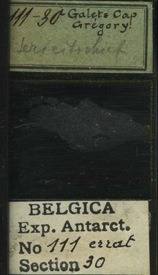 belgica antarctica expeditie 111.30b.jpg