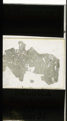 belgica antarctica expeditie 111.36a.jpg