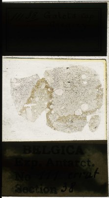 belgica antarctica expeditie 111.38a.jpg