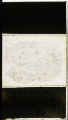 belgica antarctica expeditie 111.39a.jpg