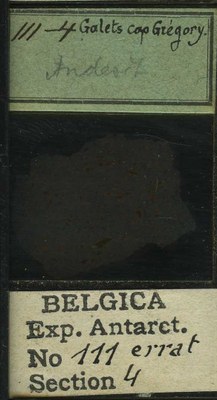 belgica antarctica expeditie 111.4b.jpg