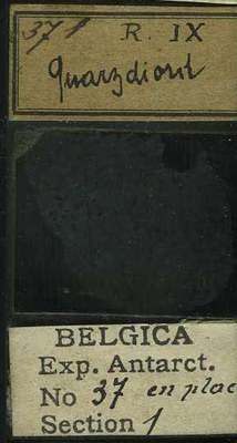 belgica antarctica expeditie  37.1b.jpg