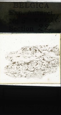 belgica antarctica expeditie  5.22a.jpg