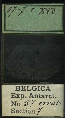 belgica antarctica expeditie 57.7b.jpg