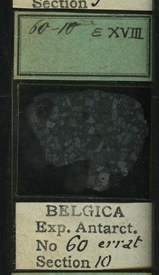 belgica antarctica expeditie 60.10b.jpg