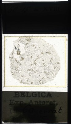 belgica antarctica expeditie 60.15a.jpg