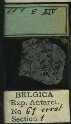 belgica antarctica expeditie 61.1b.jpg