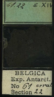 belgica antarctica expeditie 61.22b.jpg
