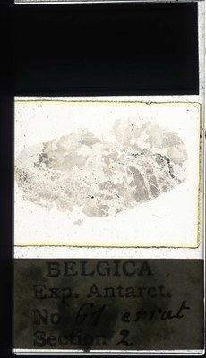 belgica antarctica expeditie 61.2a.jpg