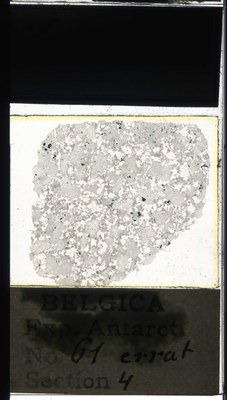belgica antarctica expeditie 61.4a.jpg