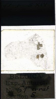 belgica antarctica expeditie 61.5a.jpg