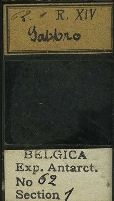belgica antarctica expeditie 62.1b.jpg