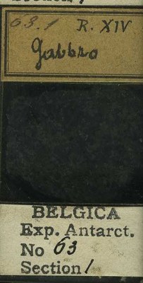 belgica antarctica expeditie 63.1b.jpg