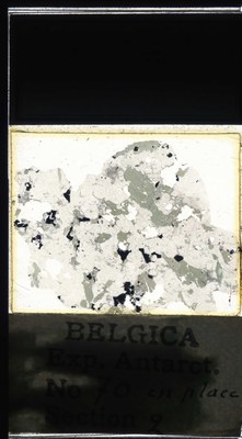 belgica antarctica expeditie 70.2a.jpg