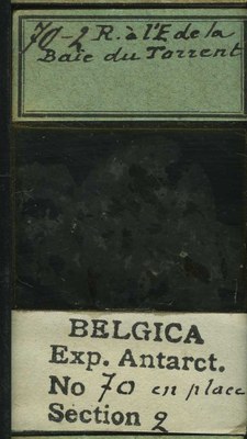 belgica antarctica expeditie 70.2b.jpg