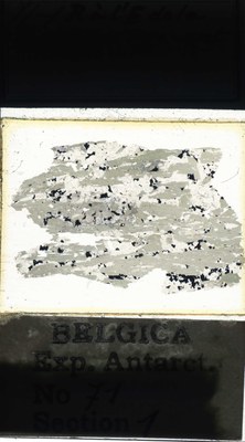 belgica antarctica expeditie 71.1a.jpg