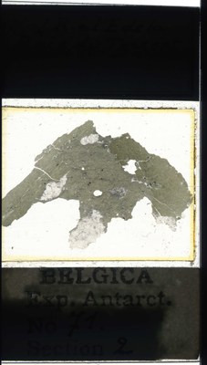 belgica antarctica expeditie 71.2a.jpg