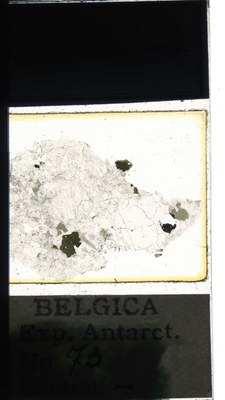 belgica antarctica expeditie 73a.jpg