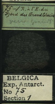 belgica antarctica expeditie 75.1b.jpg