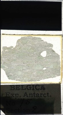belgica antarctica expeditie 75.2a.jpg