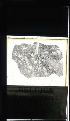 belgica antarctica expeditie 77.1a.jpg