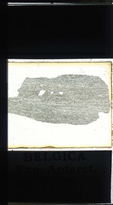 belgica antarctica expeditie 77.2a.jpg