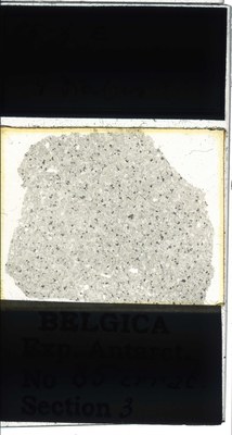 belgica antarctica expeditie 85.3a.jpg