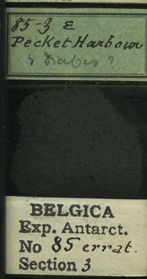 belgica antarctica expeditie 85.3b.jpg