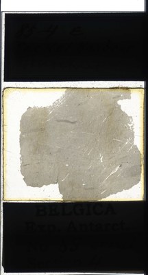 belgica antarctica expeditie 85.4a.jpg