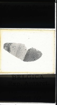 belgica antarctica expeditie 87.10a.jpg