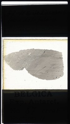 belgica antarctica expeditie 87.11a.jpg