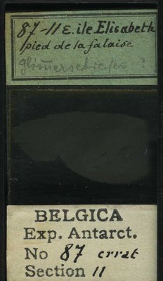 belgica antarctica expeditie 87.11b.jpg