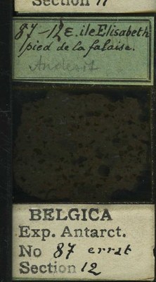 belgica antarctica expeditie 87.12b.jpg