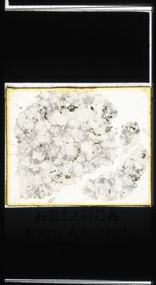 belgica antarctica expeditie 87.2a.jpg