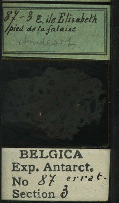 belgica antarctica expeditie 87.3b.jpg