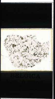 belgica antarctica expeditie 87.6a.jpg