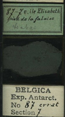 belgica antarctica expeditie 87.7b.jpg