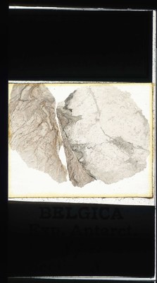 belgica antarctica expeditie 87.8a.jpg