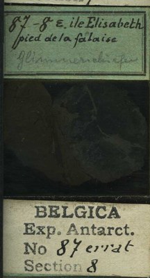belgica antarctica expeditie 87.8b.jpg