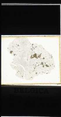 belgica antarctica expeditie 90.1a.jpg