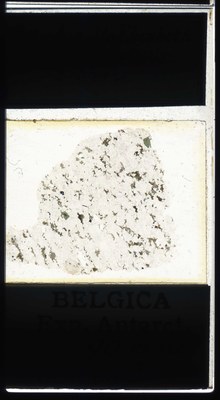 belgica antarctica expeditie 90.3a.jpg