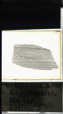 belgica antarctica expeditie 94.5a.jpg