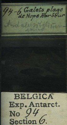 belgica antarctica expeditie 94.6b.jpg