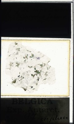 belgica antarctica expeditie 97.2a.jpg