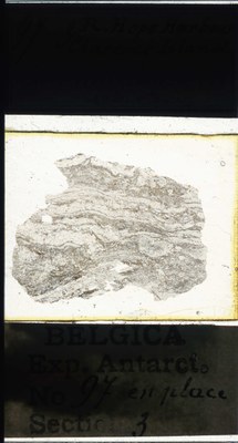 belgica antarctica expeditie 97.3a.jpg